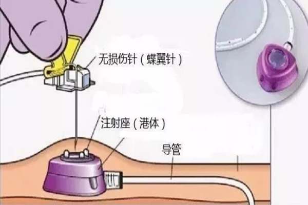 1758618804331552.jpg 1.jpg