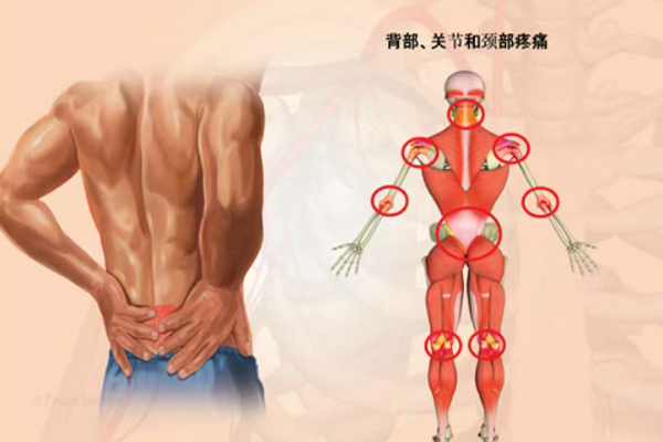 1760323087879537.jpg 1.jpg