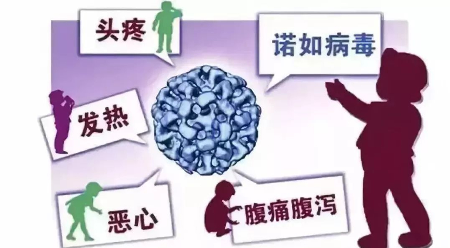 冬季諾如病毒易傳播 七步做好預防工作