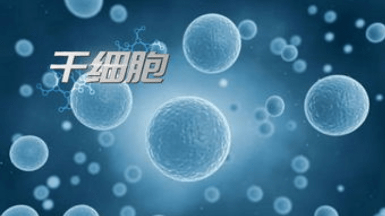 我國(guó)科學(xué)家用小分子誘導(dǎo)出人干細(xì)胞