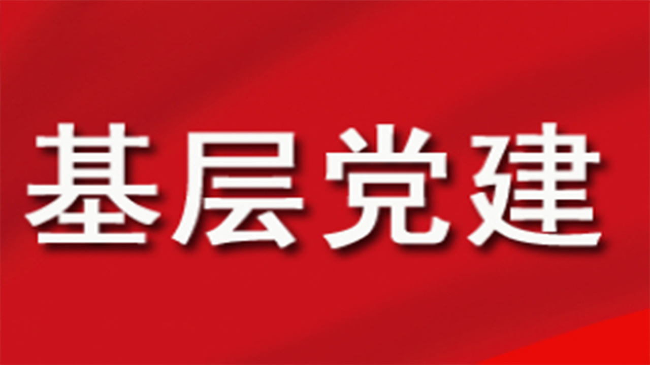 全面學(xué)習(xí)把握落實(shí)黨的二十大精神 奮力奪取全面建設(shè)社會(huì)主義現(xiàn)代化國(guó)家新勝