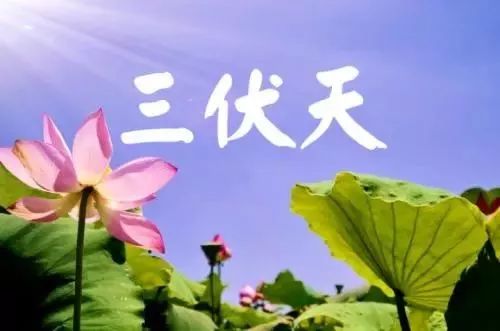“三伏天”虛寒類疾病患者適合“冬病夏治”
